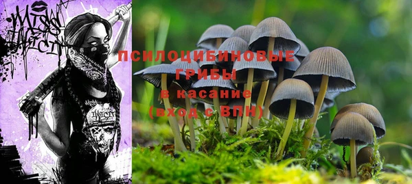 бутират Балабаново