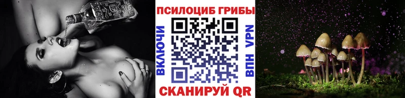 закладка  Отрадная  Псилоцибиновые грибы GOLDEN TEACHER 