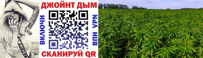 OMG рабочий сайт  Отрадная  Канабис SATIVA & INDICA 
